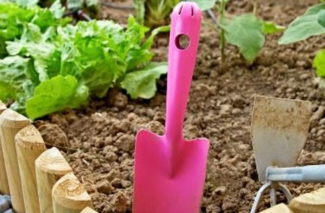 5 tipp kezdő kertészeknek: vetés a konyhakertben