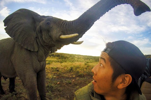 Elefánt fotóbombázta a szelfit - képek