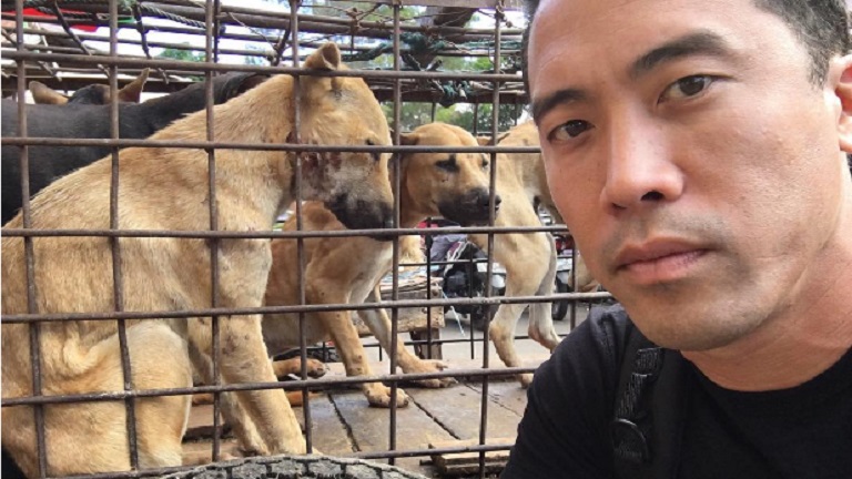 Az életét kockáztatja a bátor férfi, hogy megmentse a mészárszéktől a kutyákat