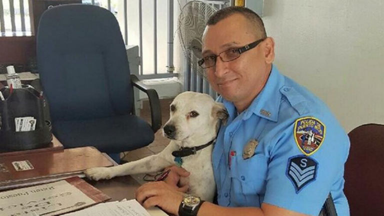 Besétált a rendőrségre a gazdátlan kutyus – munkát kapott 