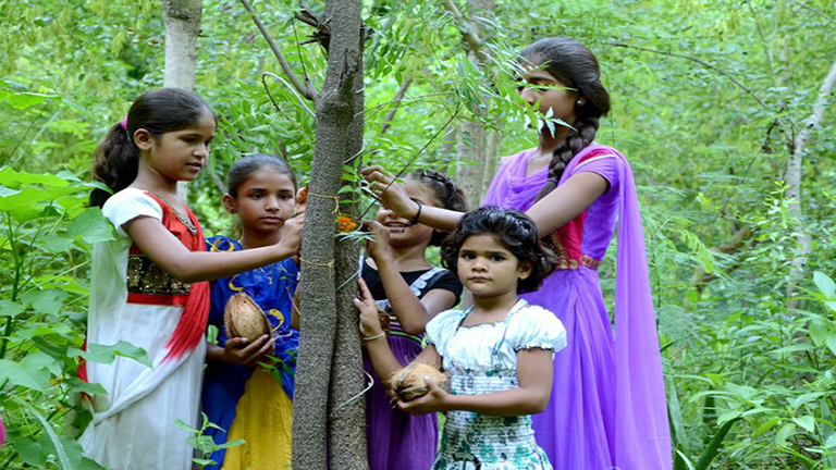 Egy indiai faluban 111 fát ültetnek minden alkalommal, mikor kislány születik