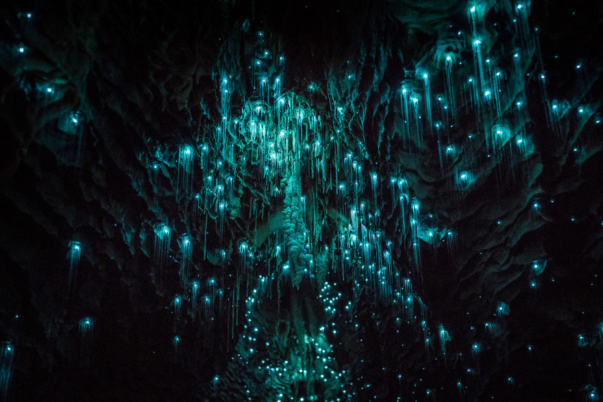 Varázslatos fotók az új-zélandi fénybarlangról
