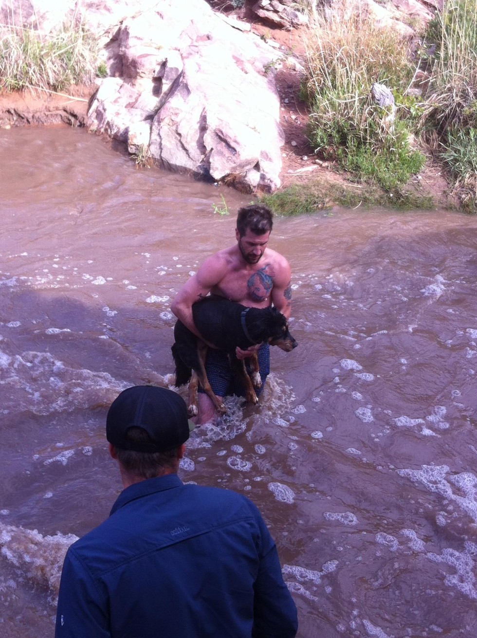 Ledobta a ruháit és a folyóba ugrott a férfi, hogy mentse egy idegen kutyáját - fotó