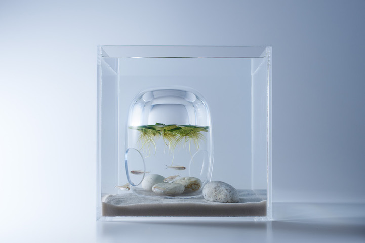 Vegyél a halaidnak szuperdizájnos 3D nyomtatott akváriumot!