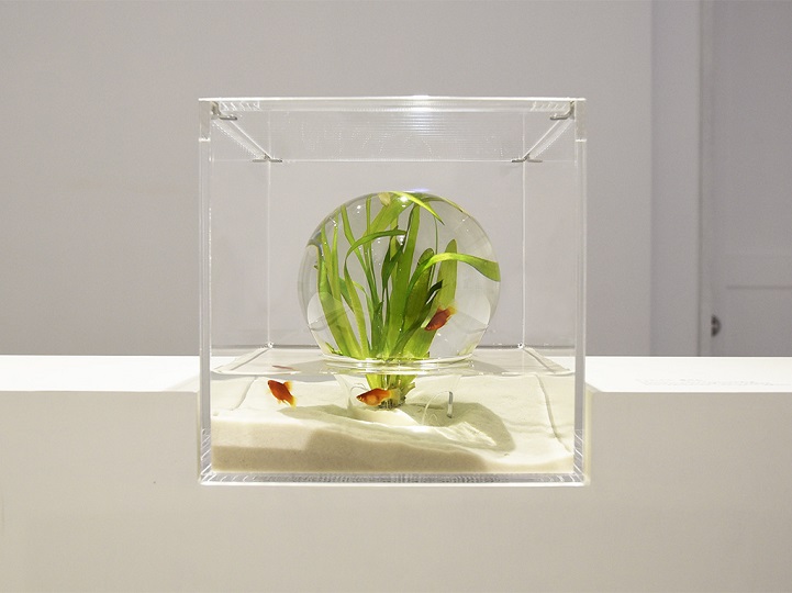 Vegyél a halaidnak szuperdizájnos 3D nyomtatott akváriumot!