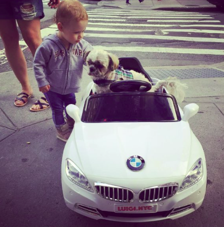 Parányi BMW-vel hasít a kutya