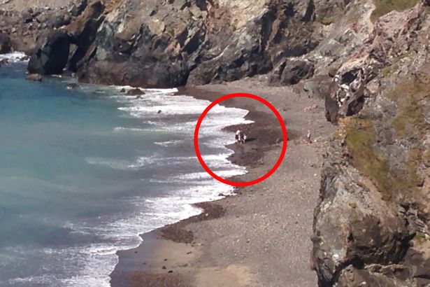 A turisták azt hitték, egy delfint mentenek meg - valójában egy cápa volt