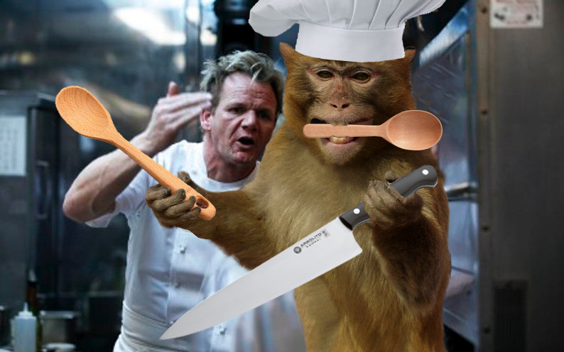 A késsel hadonászó majom meghódított az internetet - vicces fotók