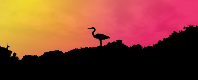 Mesés színek Galápagos egyik szigetén (Fotó: Horváth Balázs/Micsoda Turista)