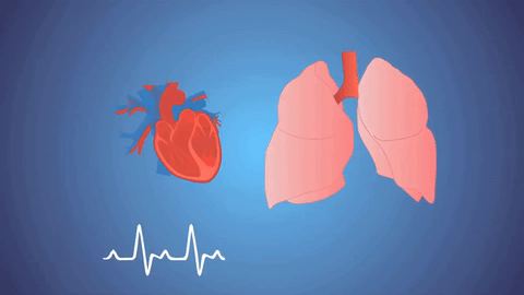 Csúnya számok: egyre több a tüdőbeteg hazánkban