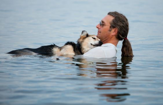 Túl öreg ahhoz, hogy egyedül ússzon – gazdája segít az idős kutyának 