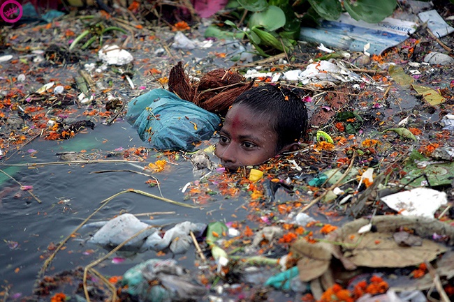 10 szívszorító fotó arról, hogy milyen kegyetlenül bánunk a természet ajándékaival 
