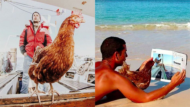 Monique nevű csirkéjével utazza körbe a világot a francia férfi