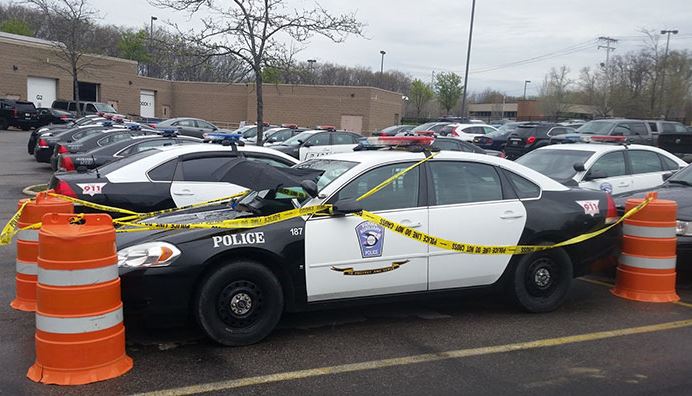 Megható dolgot tettek a rendőrök az autójukra fészkelő gerlével 