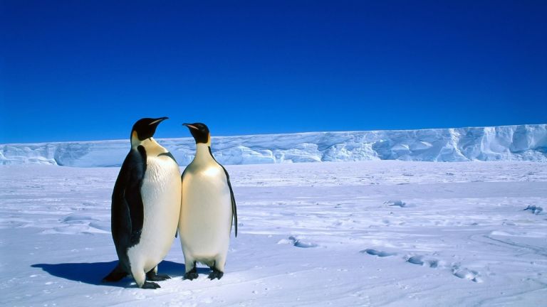 10 megdöbbentő dolog, amit nem tudtál az Antarktiszról