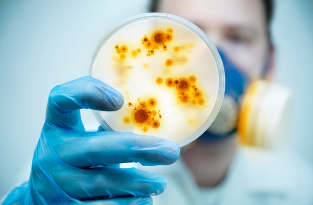 Végre tudni lehet, vírus vagy baktérum okozza a fertőzést