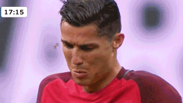 A molylepke ami Disney hercegnővé varázsolta Ronaldot