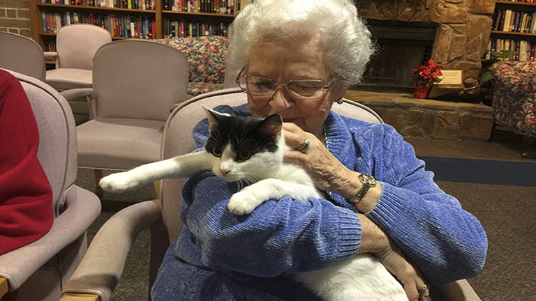 Menhelyi macskákkal dobják fel az idősek otthona lakóit