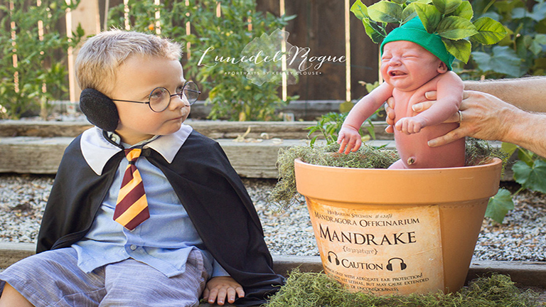Imádja az internet a Harry Potter ihlette újszülött-fotókat
