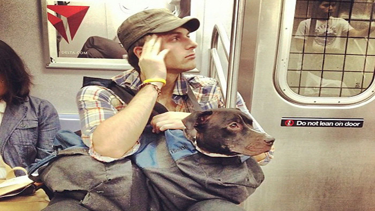 Így utaznak a kutyák a New York-i metrón
