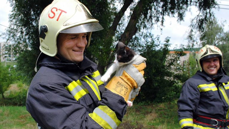 Cuki fotók: kölyökcicát mentettek a tűzoltók | nlc