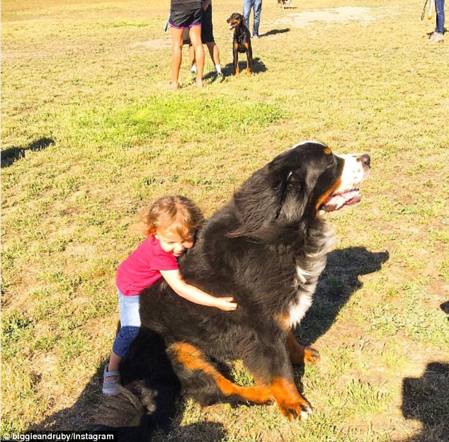 A legcukibb insta oldal: pöttöm gyerekek és hatalmas kutyák
