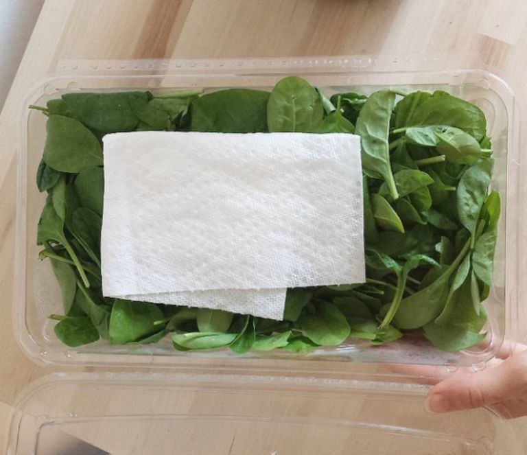 Egy papírszalvéta megőrzi a saláta roppanósságát