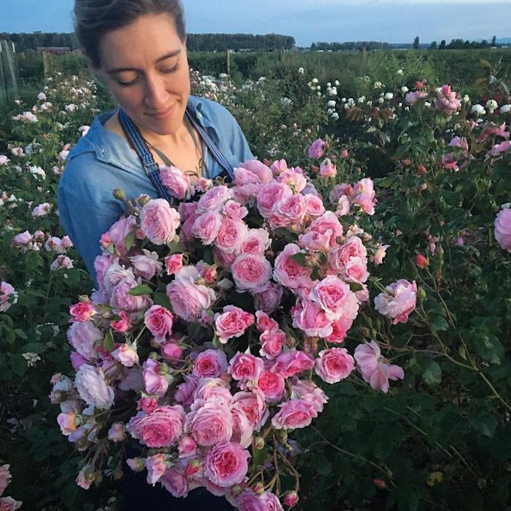 Ilyen életről álmodtál egész életedben - csodás képek egy virágkötő Instagramjáról