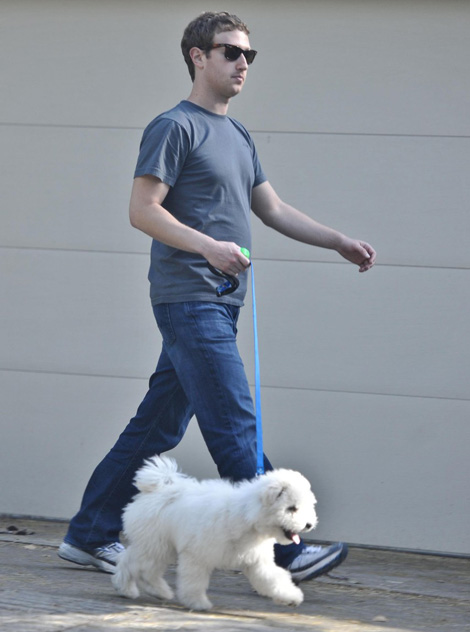 Zuckerberg és kutyája Beast