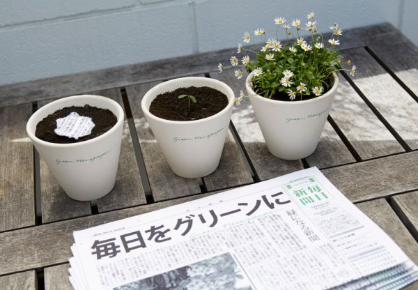 A környezetbarát újságpapír gyönyörű növényként születik újjá