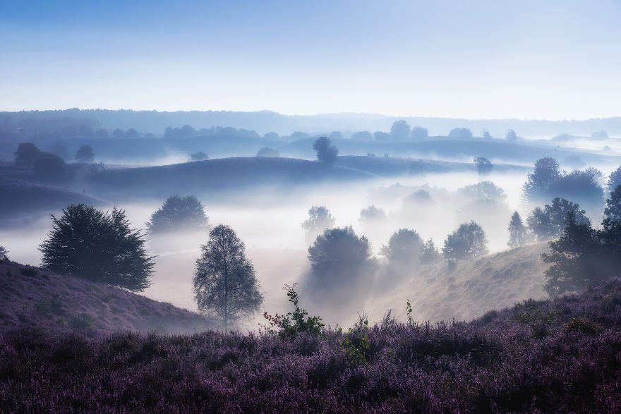 Csodálatos útifotók: Hollandia lila ködben