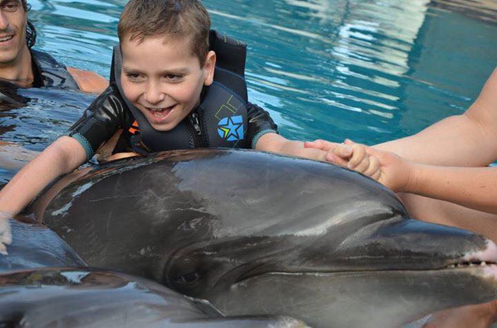Delfinek segítettek a sérült magyar kisfiúnak