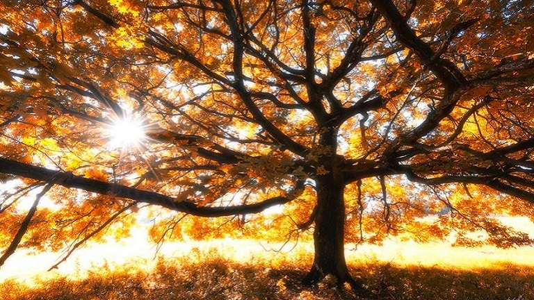 Lélegzetelállító fotók, amik feltárják az őszi természet csodáit