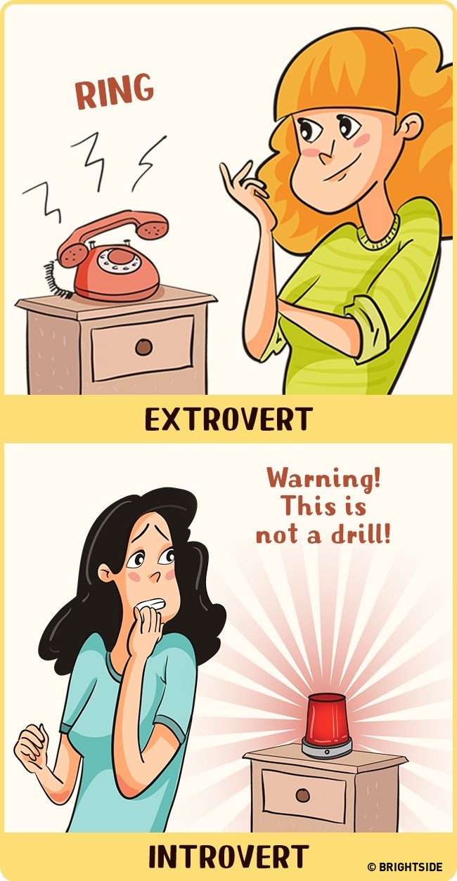 7 rajz, ami megmutatja, milyen különbözően látják a világot az introvertált és az extrovertált emberek