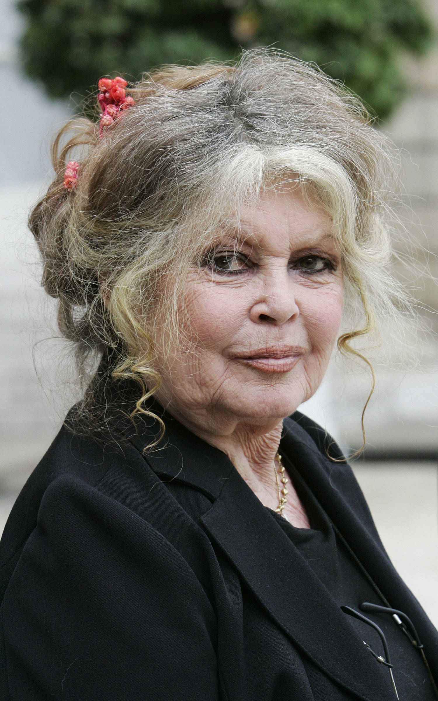 Brigitte Bardot: ritkán látott képek a ma 82 éves szexszimbólumról
