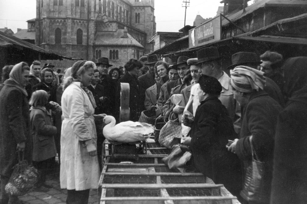 Lehel (Élmunkás) téri piac 1956-ban (fotó: Fortepan)