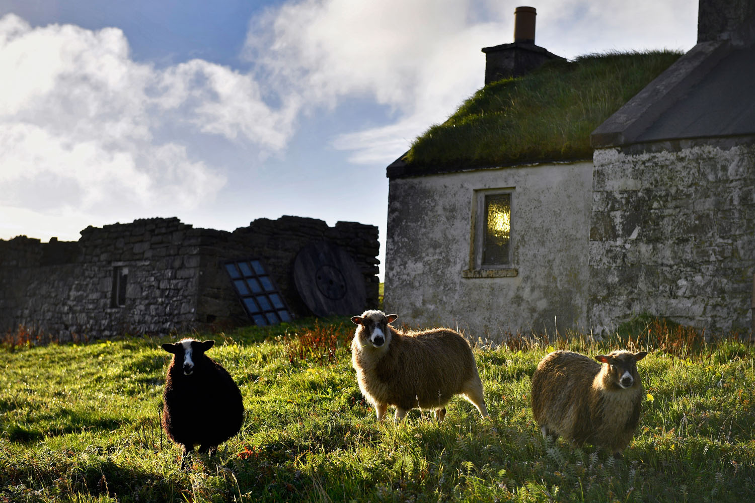Mindössze harmincan lakják ezt a mesés kis skót szigetet - fotók