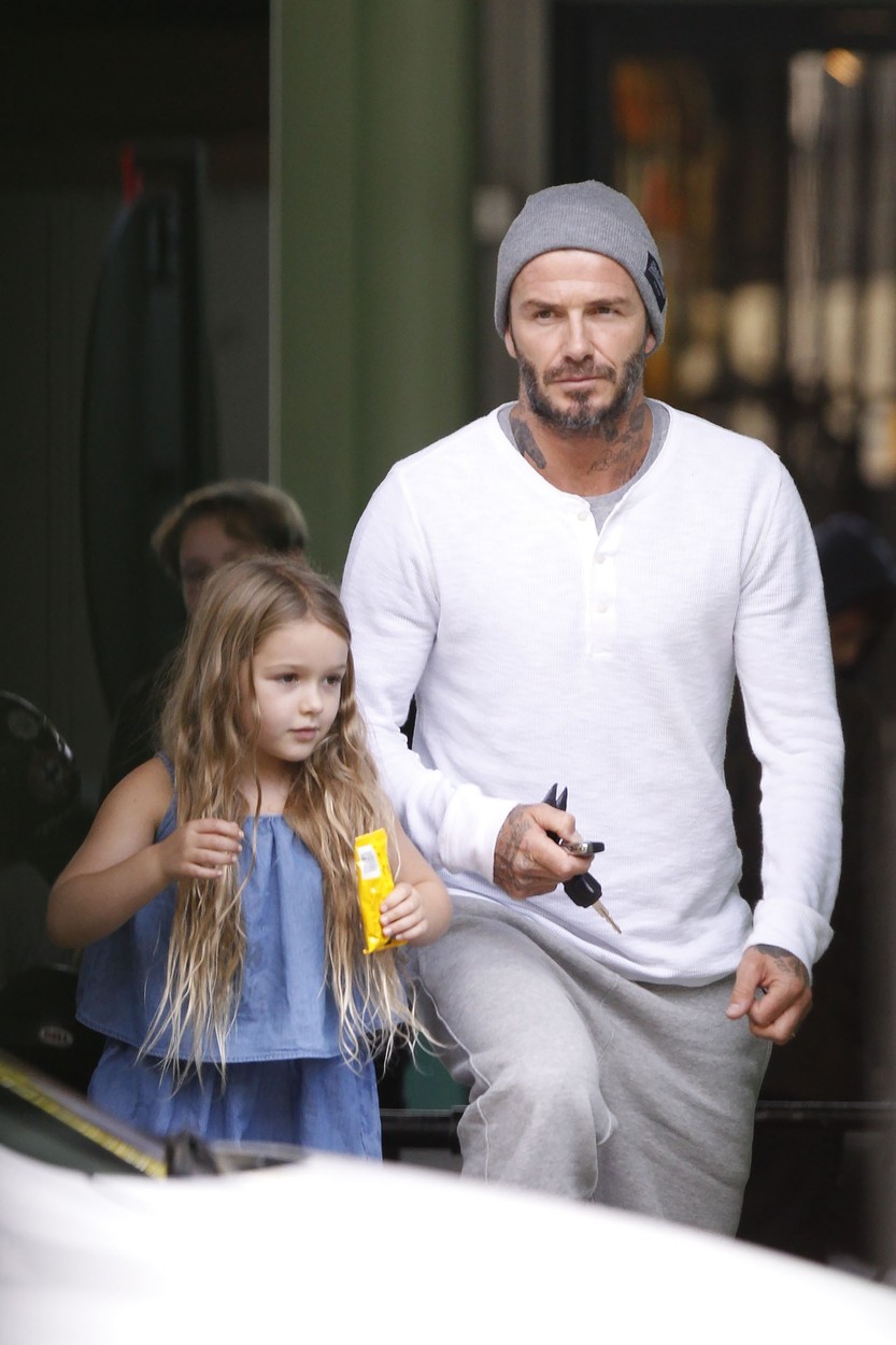 Pufinak tartják a 5 éves Harper Beckhamet és diétáztatnák