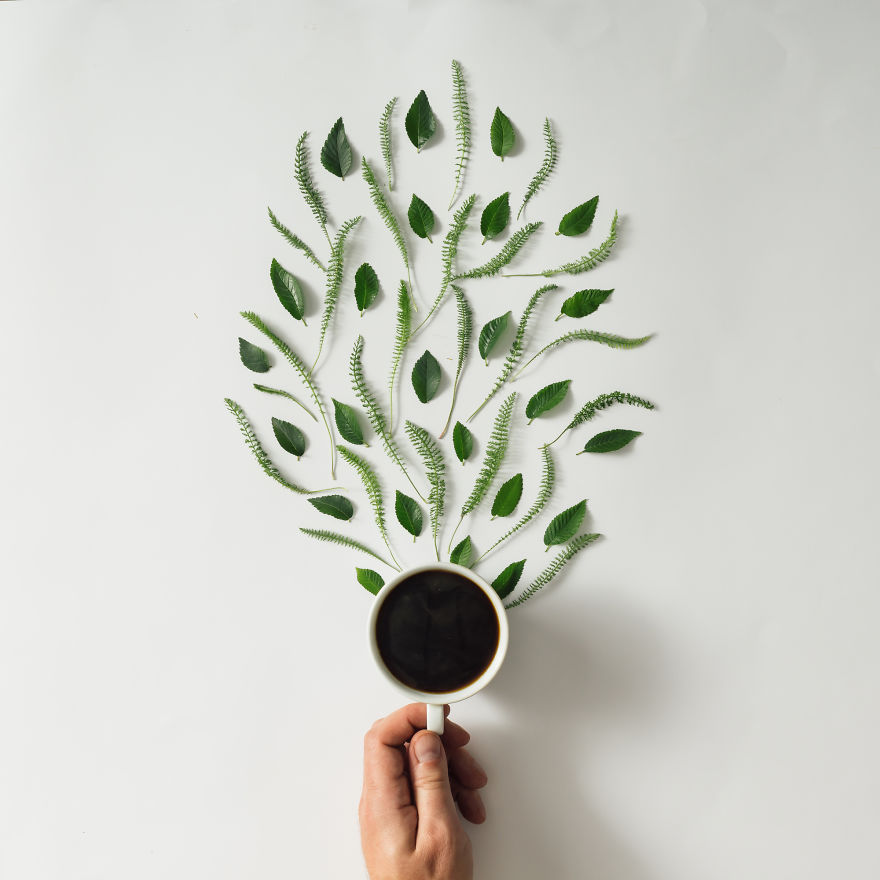 Mesés minimalista művészet csodaszép növényekből - fotók