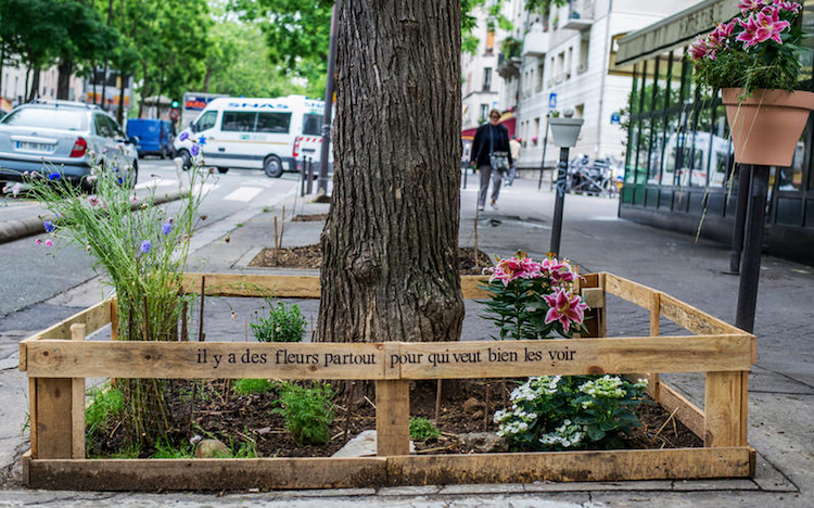 Egész Párizst ellepték a közösségi kertek
