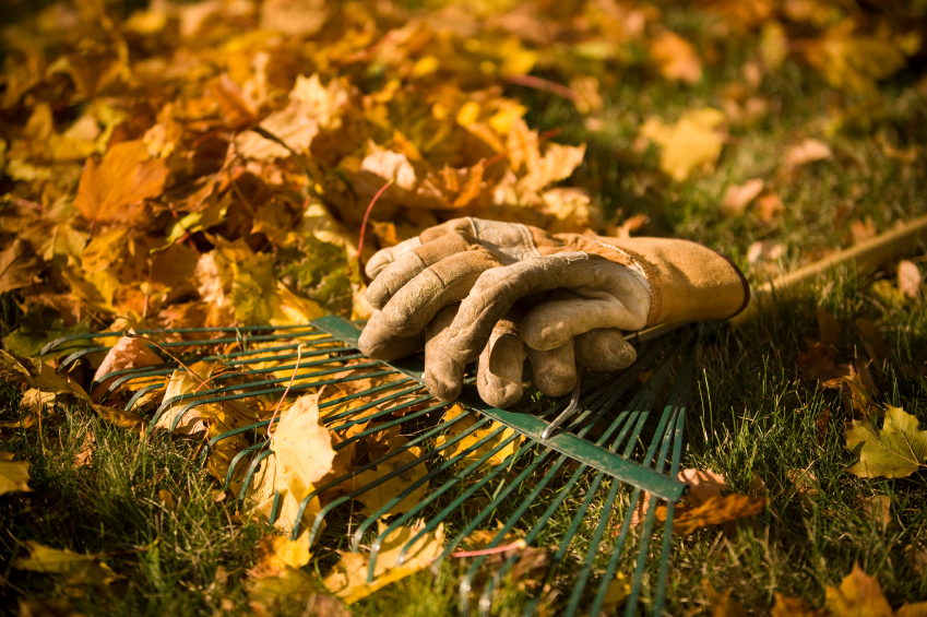 5 hasznos kertészkedési tipp az őszre