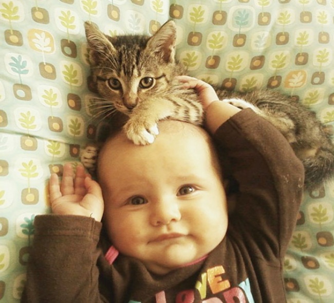 10 cuki fotó, ami bebizonyítja, hogy a gyerek mellé kell egy macska is