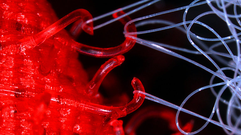 Tépőzár a mikroszkóp alatt (Fotó: Tumblr)