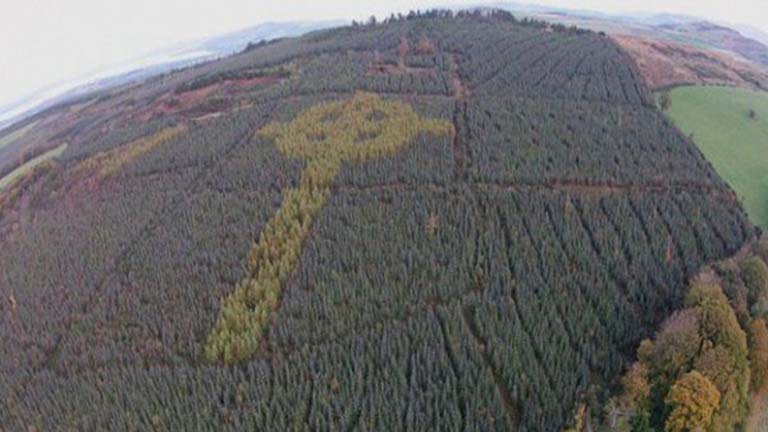 Rejtélyes kelta kereszt tűnt fel az ír erdőkben
