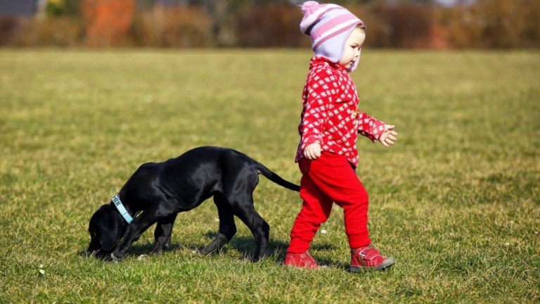 A gyerek kutyáért könyörög? Ezért kellene engedned neki