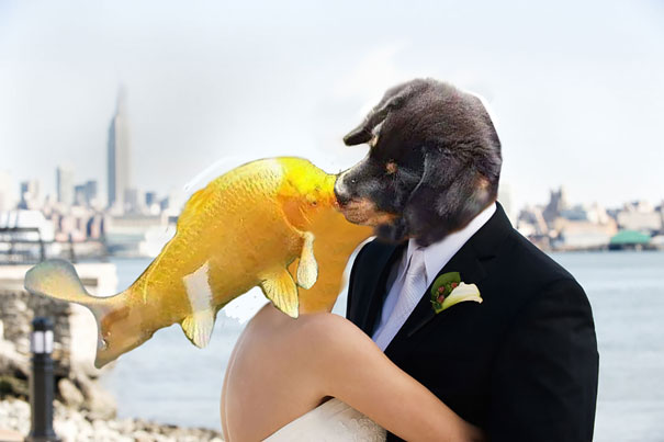 Őrületes Photoshop-parádé kerekedett a halat csókoló kutya körül