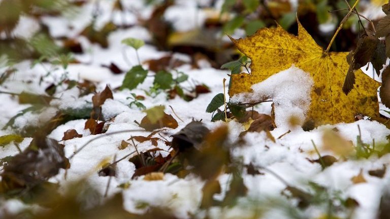 Ekkora hó ömlött Sopronra – videó