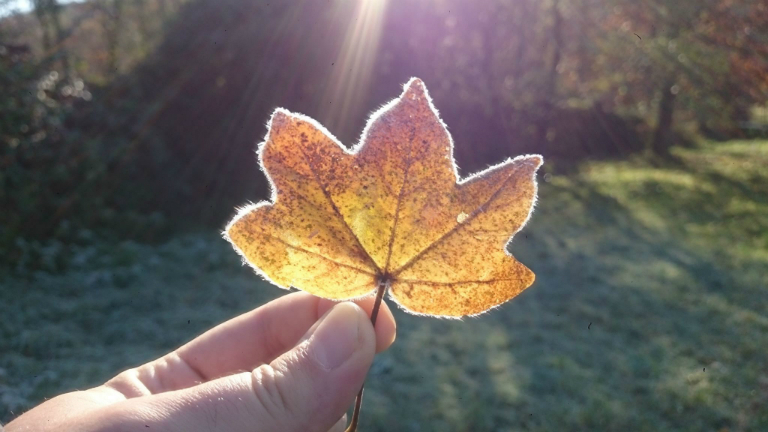 Így lesz az őszből tél! - gyönyörű fotók