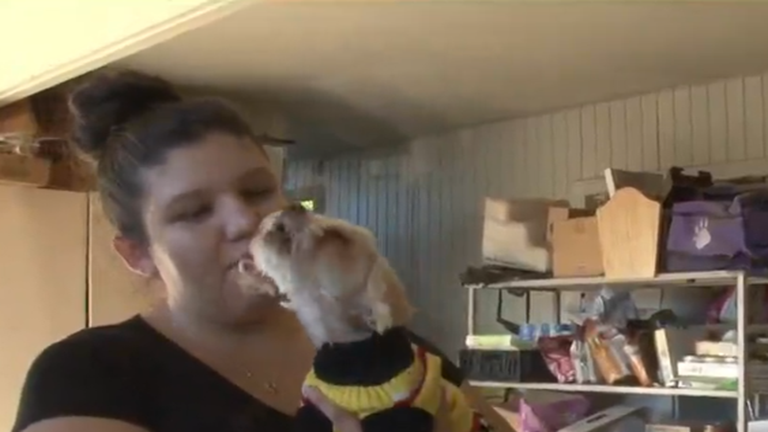 9 év után tért haza az elveszettnek hitt kutya
