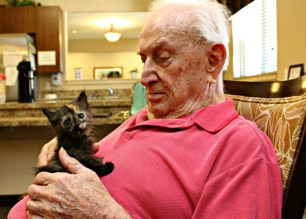 Kiscicák adnak újra életkedvet az idősotthon lakóinak